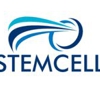 Istemcell gallery