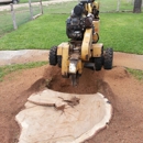 Superior Services Tree Care - Tree Service