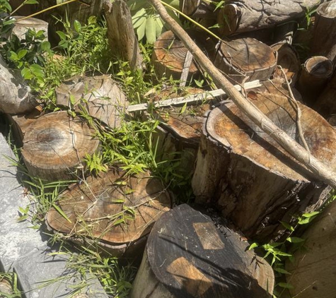 Pat Mcgrath Tree Services - North Avoca, NSW. Wood not cut