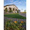Blossom & Oak Landscaping gallery