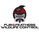 Fur & Feathers Wildlife Control - Pest Control Services