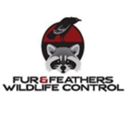 Fur and Feathers Wildlife Control