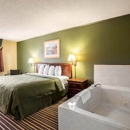 Quality Inn - Motels