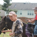 Pony Parties by Janet Menetrier - Horse Training