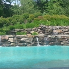 Crystal Blue Aquatics