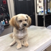 Waggin' Tails gallery