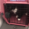 Hilton Veterinary Clinic of Ferndale gallery