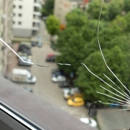 Quick Glass Repair