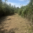 Circle B3 Mulching - Gardeners
