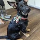 Chestnut Ridge Animal Clinic - Veterinarians