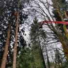 Bushman Tree Service