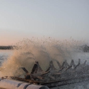 Superior Catfish - Fish & Seafood Markets