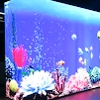 GCL Led Displays gallery