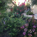 George's Landscape - Landscape Contractors