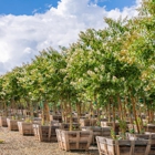 Moon Valley Nurseries