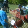 Photo #11