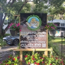 World Class Wildlife Removal And Rodent Remediation Co. - Pest Control Services
