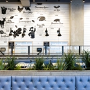 Mendocino Farms - Sandwich Shops