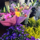 Aries Flowers - Florists