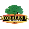 Morales Brothers Tree Service gallery