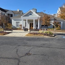 A Woman's Brush Painters and Remodelers