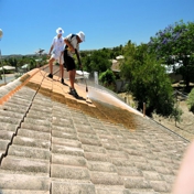 Gallery Image Number 4
