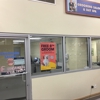 Petco Grooming gallery