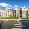 Ascend Brightleaf Apartments gallery