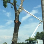 Collins Tree Service