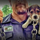 Karma K9 | The Dog Training Company