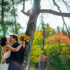 Aaron Spagnolo Photography gallery