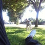Photo #11