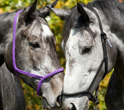 Top Knot Ch Custom Tack R - Janesville, WI