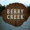 Berry Creek Cabins gallery