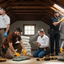 Attic Animal Pest - Pest Control Services