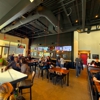Dog Haus Biergarten gallery