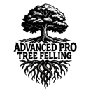 Advanced Pro Tree Felling - Tree Service