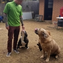 Citizen Canines - Dog Training