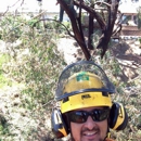 Leaf It To Us Tree Service - Tree Service