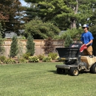 Matt's Turf and More