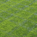 Baypoint Lawn Service Co. - Lawn Maintenance