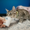 PetVet365 Pet Hospital Leander gallery