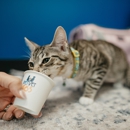 PetVet365 Pet Hospital Leander - Veterinarians