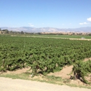 Kalyra Winery - Wineries