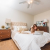 Bayou Shadows Apartment Homes gallery