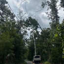 Estrada's Tree Service and Landscape - Landscape Designers & Consultants