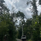 Estrada's Tree Service and Landscape