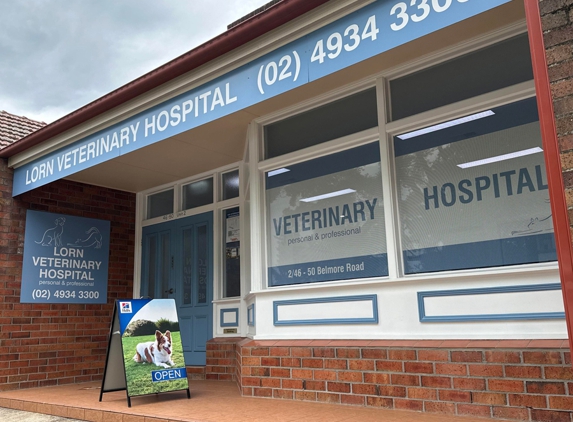 Lorn Veterinary Clinic - Lorn, NSW
