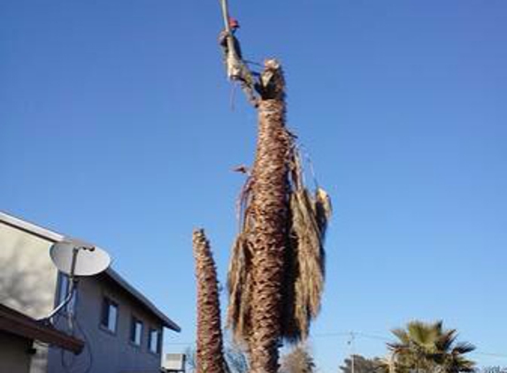 Fast Tree Service - North Las Vegas, NV