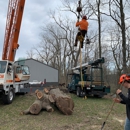 Owen's Tree Care - Tree Service
